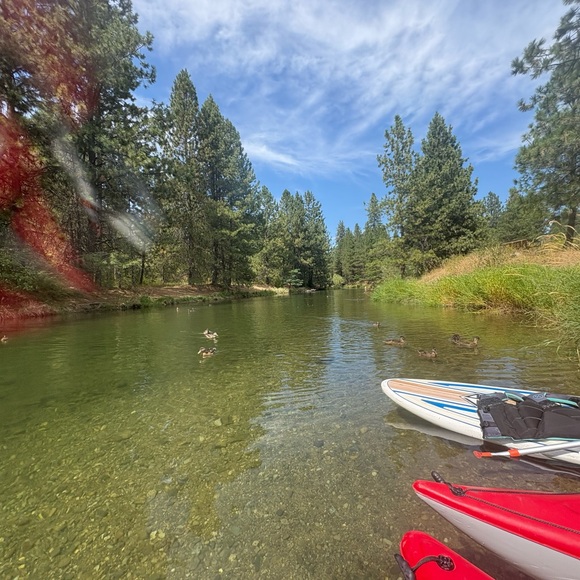 Greetings!! - Picture 8 of 10